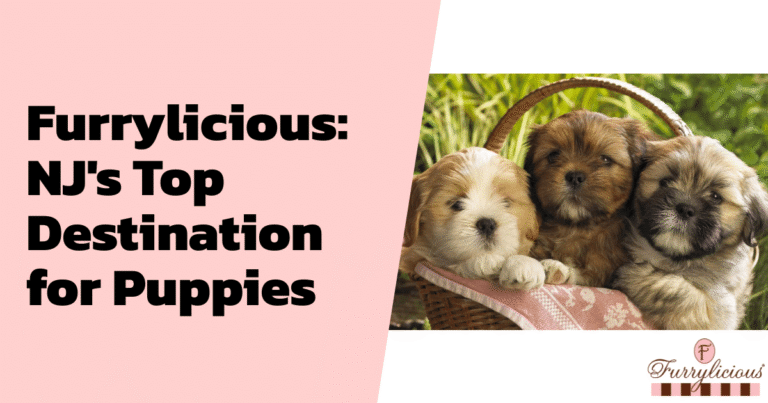 Furrylicious®: NJ’s Top Destination for Puppies