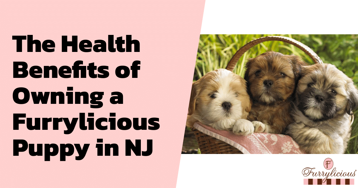 The Health Benefits of Owning a Furrylicious® Puppy in NJ