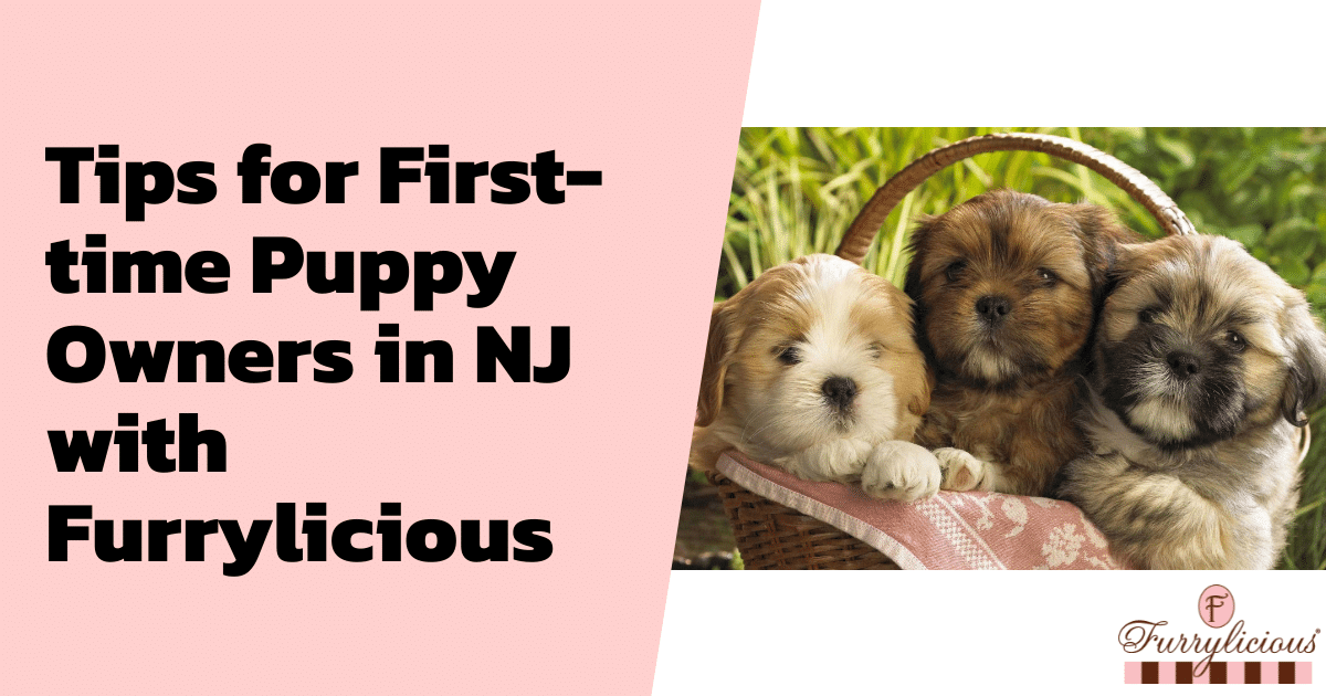 Tips for First-time Puppy Owners in NJ with Furrylicious