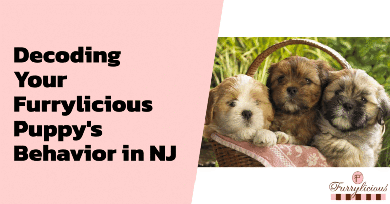 Decoding Your Furrylicious® Puppy’s Behavior in NJ