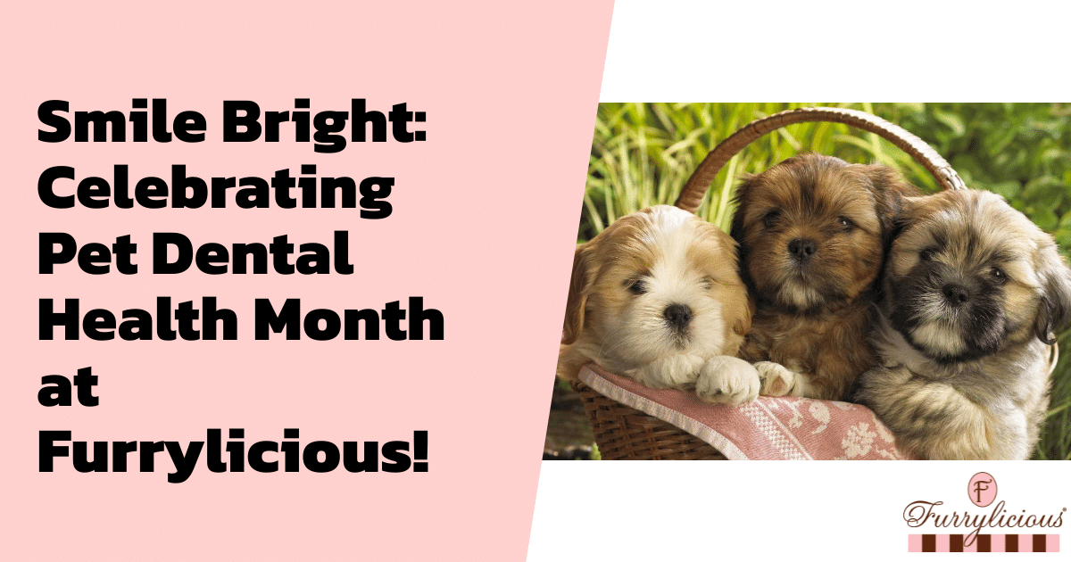 Smile Bright: Celebrating Pet Dental Health Month at Furrylicious!