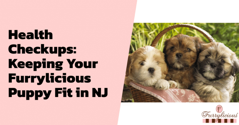 Health Checkups: Keeping Your Furrylicious® Puppy Fit in NJ