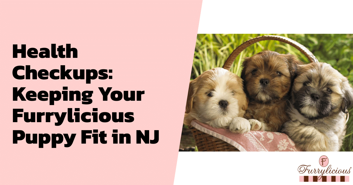 Health Checkups: Keeping Your Furrylicious® Puppy Fit in NJ