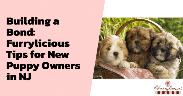 Building a Bond: Furrylicious® Tips for New Puppy Owners in NJ