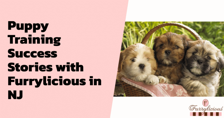 Puppy Training Success Stories with Furrylicious® in NJ