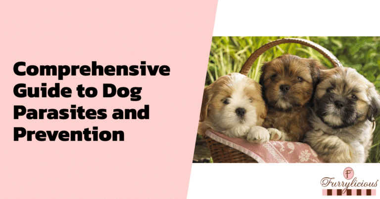 Comprehensive Guide to Dog Parasites and Prevention
