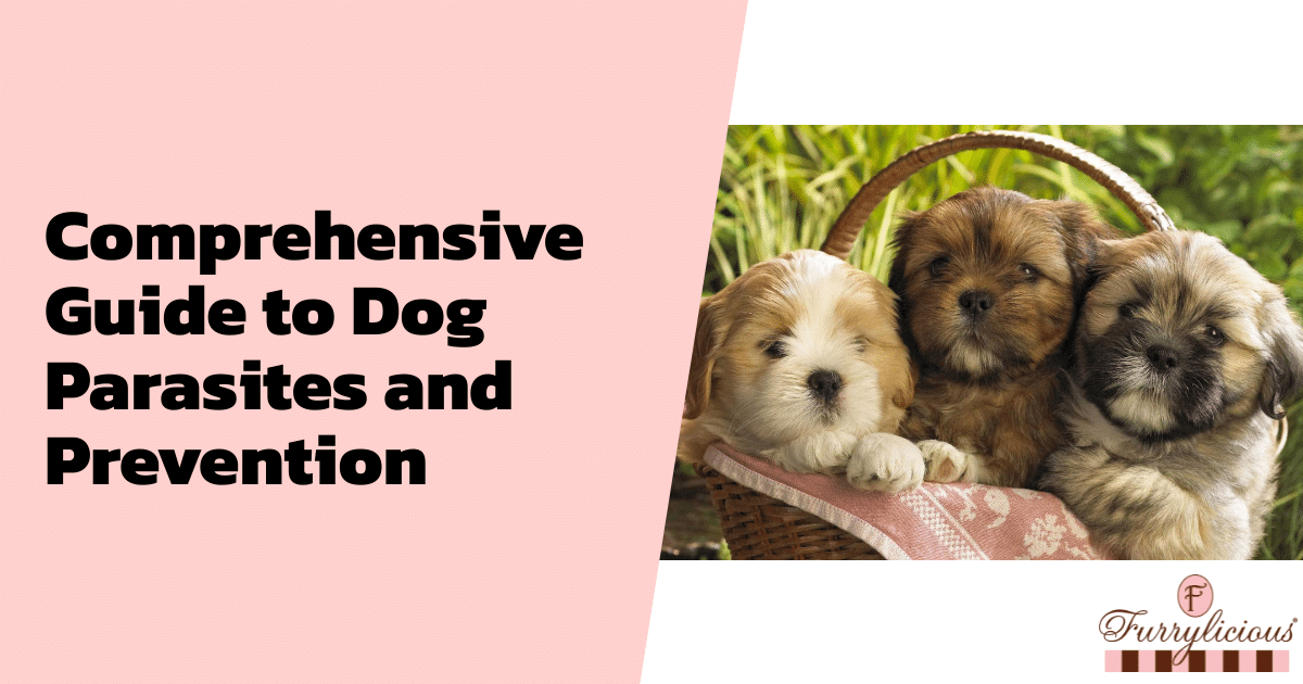 Comprehensive Guide to Dog Parasites and Prevention