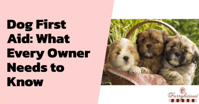 Dog First Aid: What Every Furrylicious® Pet Owner Needs to Know