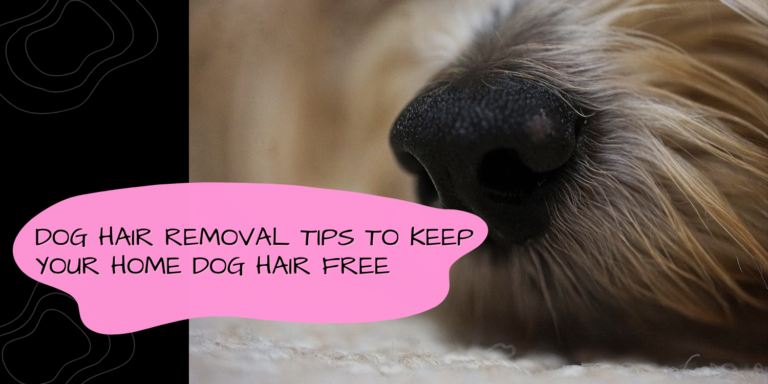 Dog Hair Removal Tips To Keep Your Home Dog Hair Free