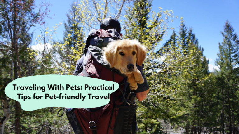 Traveling With Pets: Practical tips for pet-friendly travel
