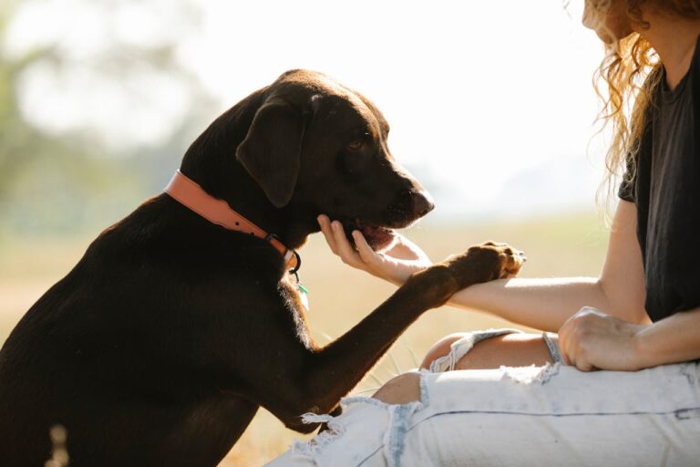 The Furrylicious Promise: Ensuring Health & Happiness from Day One